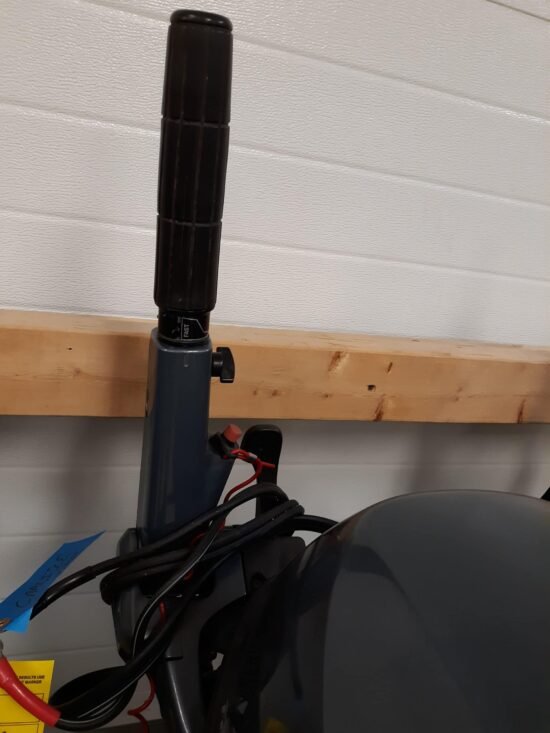 2013 Yamaha F20LPHA (M16732)